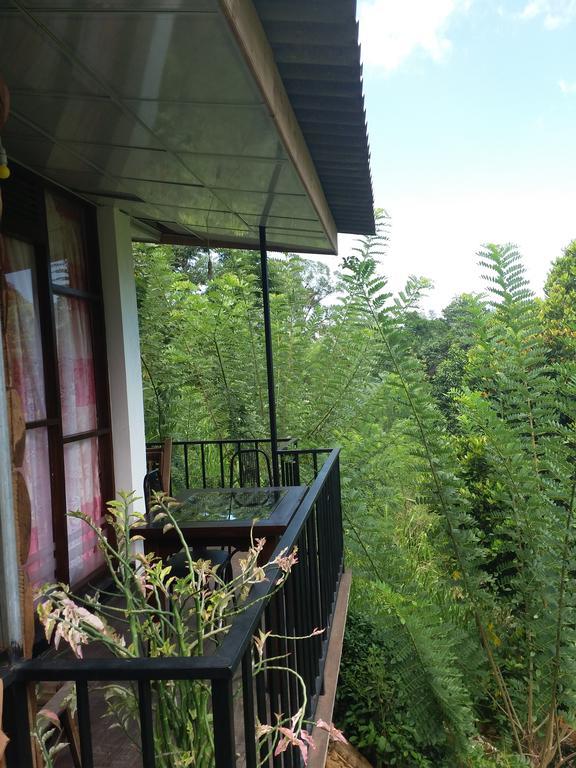 Green Lushy Home Stay Ella Exterior foto